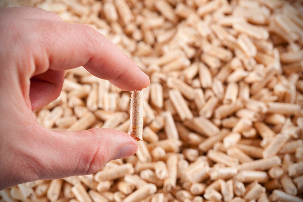 Choisir les pellets de première qualité : comment faire le bon choix