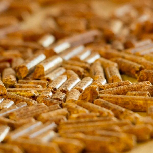 prix pellet rgpellets fagnes pellets 01