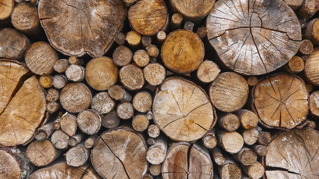rg pellets essences de bois guide complet 01