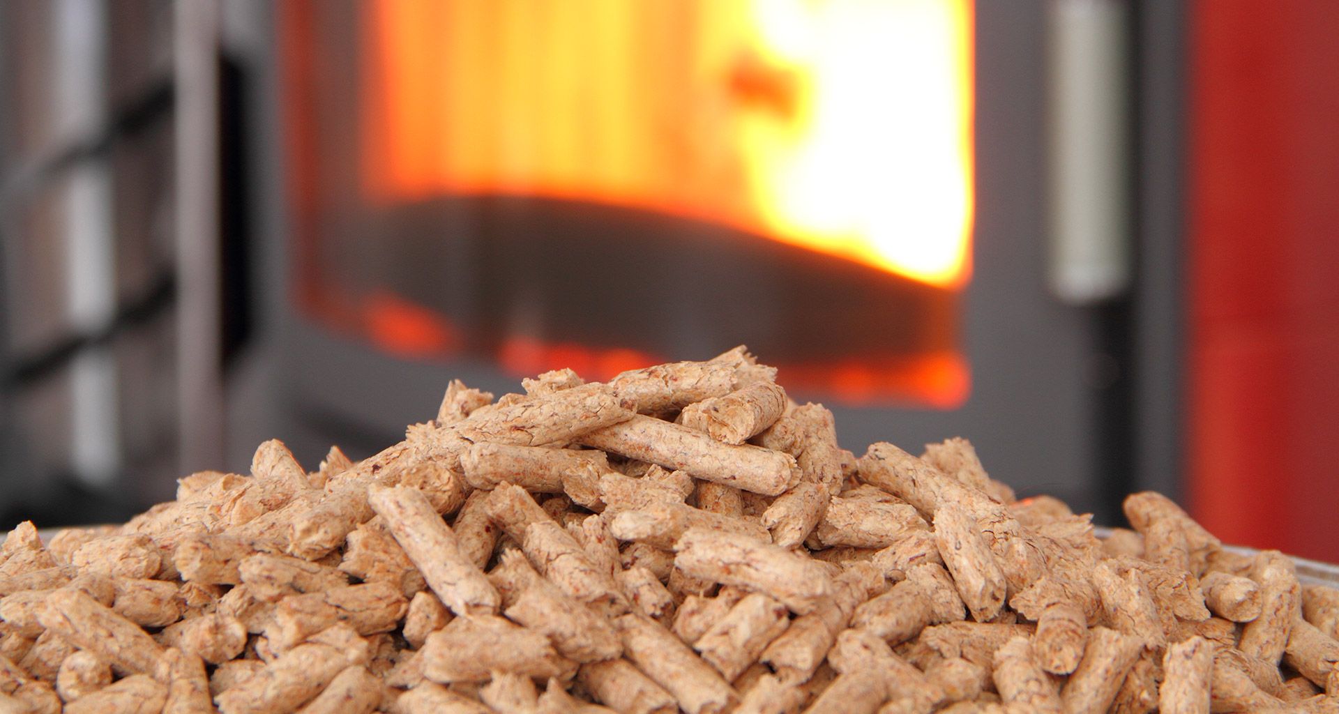 rg pellets prix pellet resineux ecologique 01